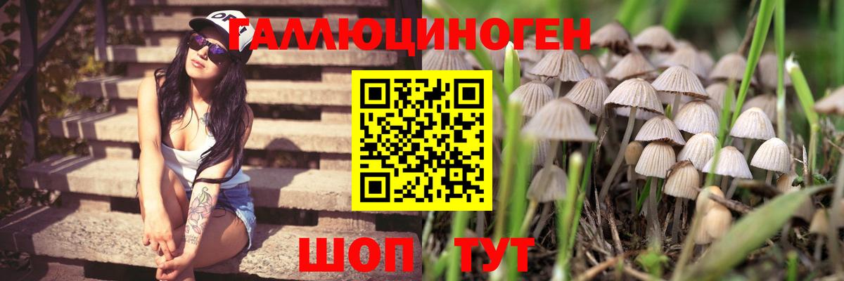 Псилоцибиновые грибы мухоморы  Вход с VPN  Томск 